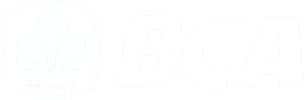 logo bank bca